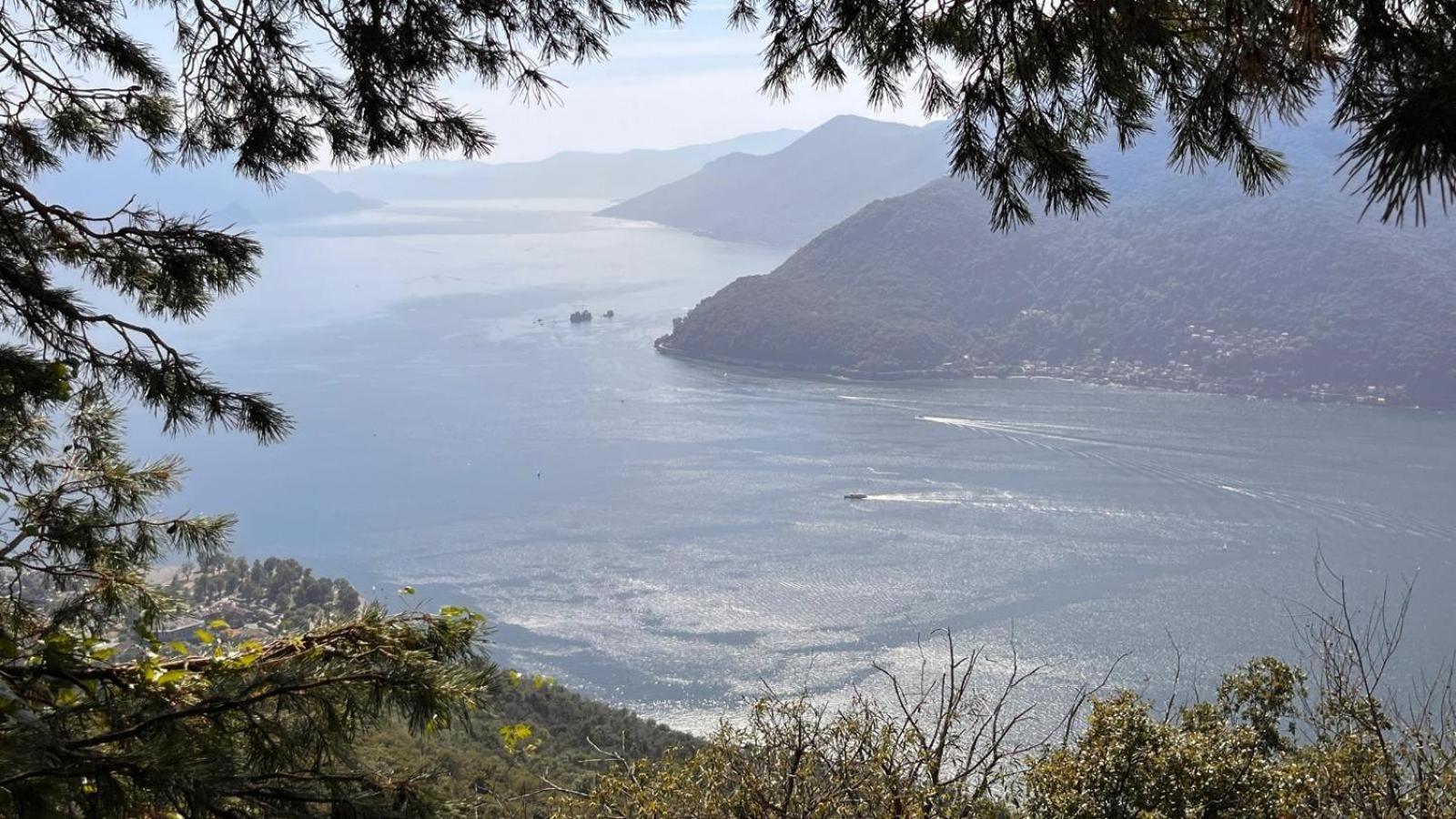 Villa Del Castanar Maccagno Екстериор снимка