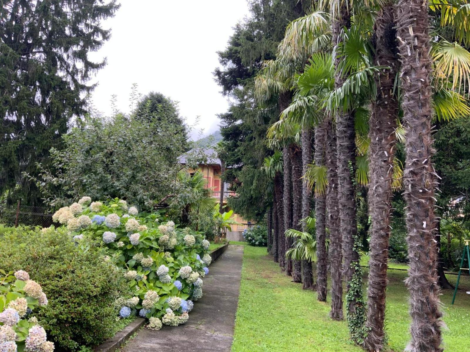 Villa Del Castanar Maccagno Екстериор снимка