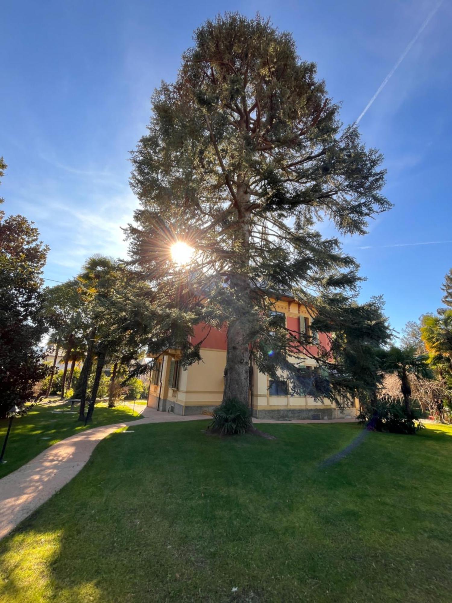 Villa Del Castanar Maccagno Екстериор снимка